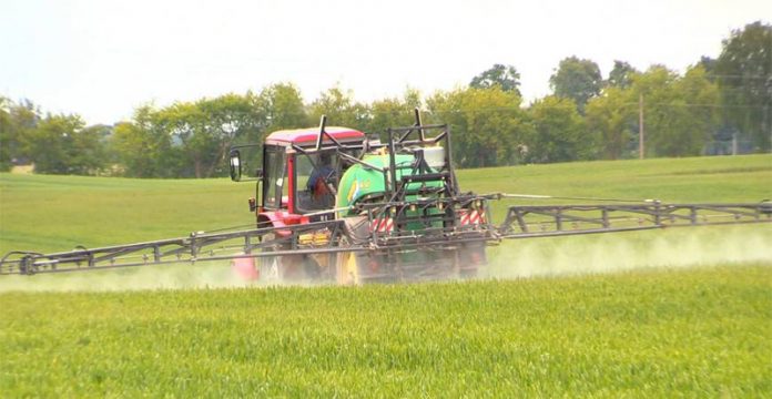 Agricultura pe înțelesul tuturor – Fertilizarea fazială a cerealelor păioase