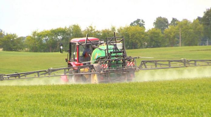 Agricultura pe înțelesul tuturor – Fertilizarea fazială a cerealelor păioase