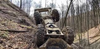 VIDEO: Accident de muncă mortal într-o pădure din Gorj!
