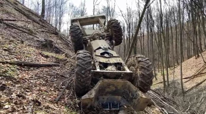 VIDEO: Accident de muncă mortal într-o pădure din Gorj!