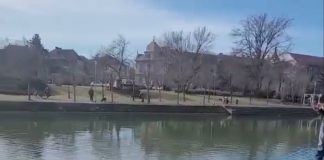 Avram Iancu este performerul anului 2021, în lume!