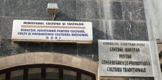 Concurs de proiecte pentru șefia unei instituții din Gorj. Director picat la evaluarea finală