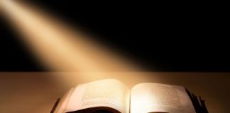 Educaţia…şi Lecţia de viaţă! – ,,E zestrea ce pe toţi ne-mparte, în cei cu cărţi şi cei cu carte!”.