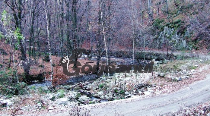 DRUMURI GORJENE – Şuşiţa Verde, la cumpănă de făurar