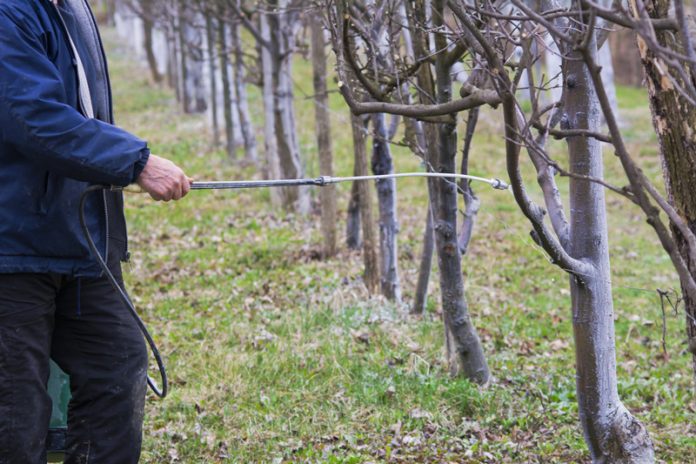 Farmbee_-_Tratamente_de_iarna_la_pomii_fructiferi_-_1