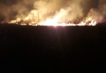 Foto: Două incendii de proporții în Săcelu! Două echipaje ISU, angajați ai primăriei și voluntari sting focul