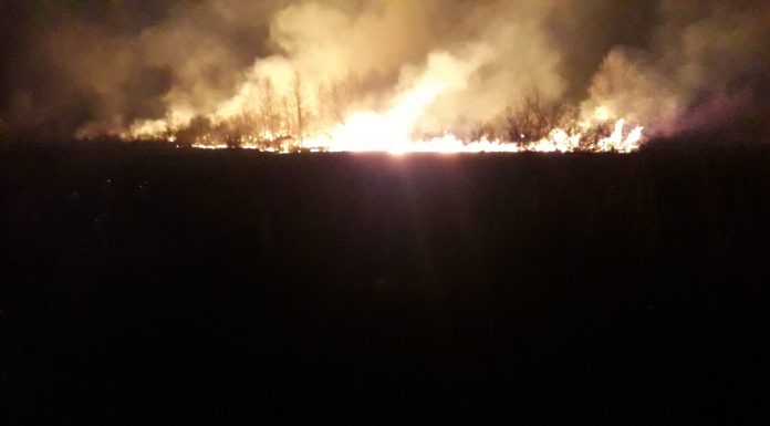 Foto: Două incendii de proporții în Săcelu! Două echipaje ISU, angajați ai primăriei și voluntari sting focul