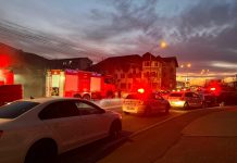 Video: Al doilea incendiu la depozitul de furaje din 9 Mai