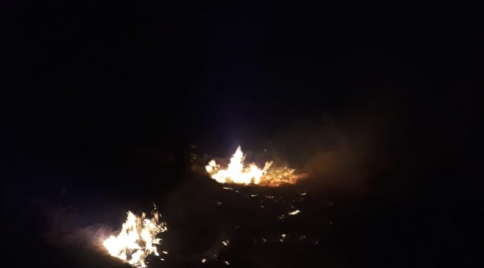 Numeroase incendii de vegetație în Gorj