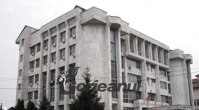 A venit din Valea Jiului să fure în Gorj! Condamnat!