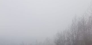 CE Oltenia, două amenzi pentru poluare