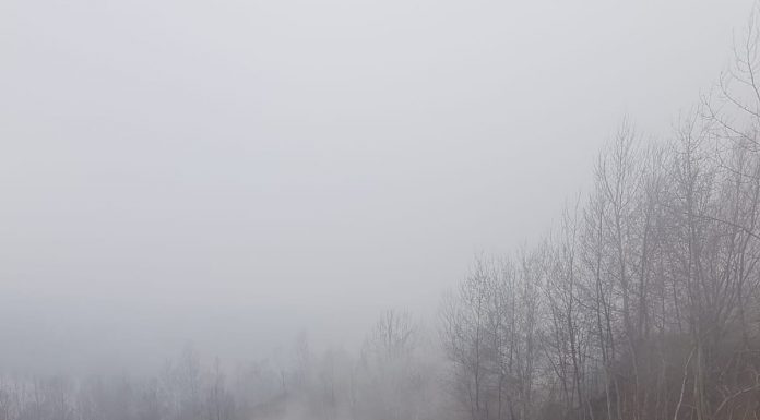 CE Oltenia, două amenzi pentru poluare