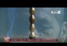 ”ANOTIMPUL TĂCERILOR”, VERNISATĂ LA MUZEUL CONSTANTIN BRÂNCUȘI