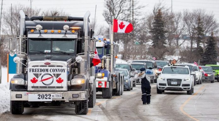 Convoiul uriaș de proteste ajunge și în Europa