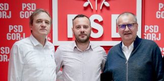 PSD Gorj are om la Energie. Constantin Ștefan, promovat secretar de stat