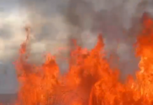 VIDEO: Nicio zi fără incendii de vegetație