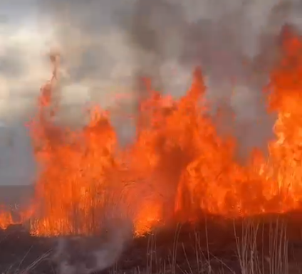 VIDEO: Nicio zi fără incendii de vegetație