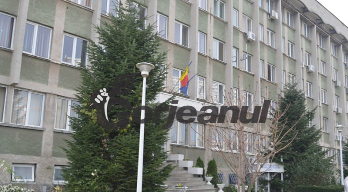 Dosare penale și ordine de protecție pentru agresorii din familiile gorjene