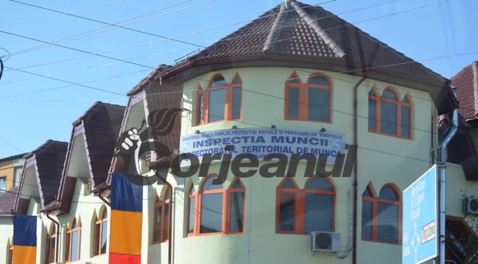 ITM Gorj, amenzi de sute de mii de lei pentru angajatorii din județ