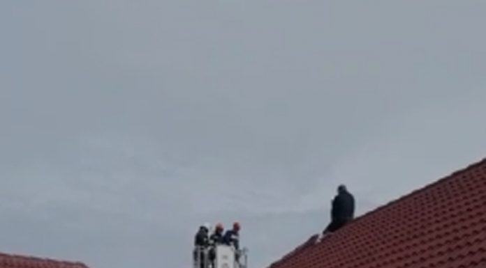 Protestatarul amendat de inspectorii de muncă are, din partea ITM, și două plângeri penale, fiind cercetat și pentru ultraj