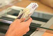 Cresc ratele în lei