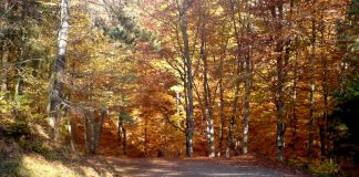 Natura și spiritul muntelui!