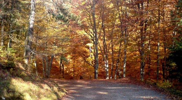 Natura și spiritul muntelui!