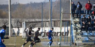 Apel la suporterii Pandurilor: Avem nevoie de ,,nebunia” lor