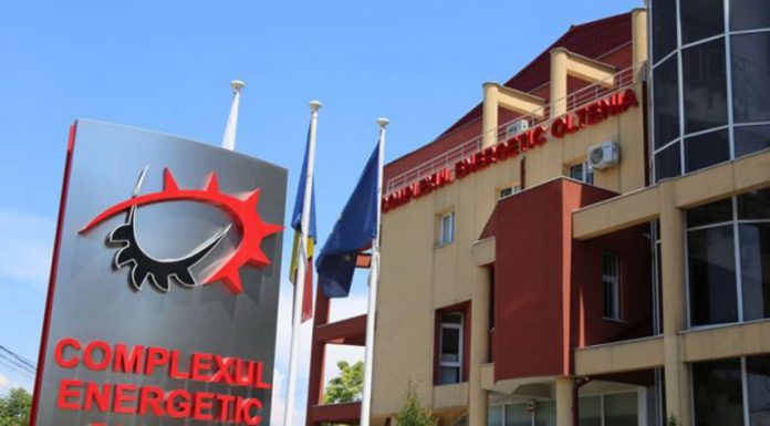 CEO, 600 de angajări necesare: Avem în baza de date suficiente persoane pregătite!