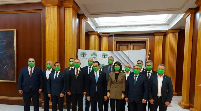 Vot din partea parlamentarilor Forța Dreptei pentru legea privind pensionarea anticipată