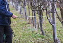 Agricultura pe înțelesul tuturor – Lucrări agricole în repausul vegetativ