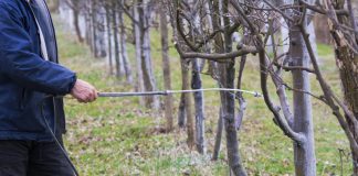 Agricultura pe înțelesul tuturor – Lucrări agricole în repausul vegetativ