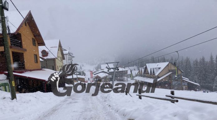 Ninsoare proaspătă la Rânca!