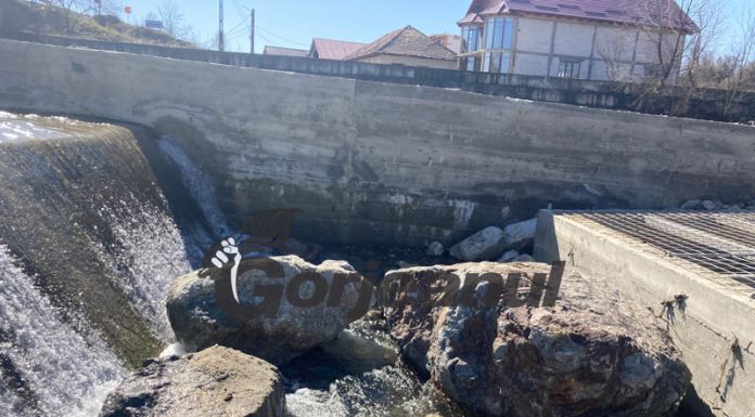 Sute de mii de euro de la UE pentru salvarea peștilor din Gilort!