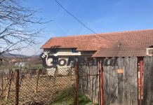 ,,Vampirul” din Turburea! Și-a mutilat soția și a jucat-o în picioare după o partidă de amor!