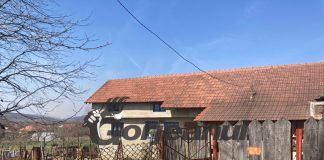 ,,Vampirul” din Turburea! Și-a mutilat soția și a jucat-o în picioare după o partidă de amor!