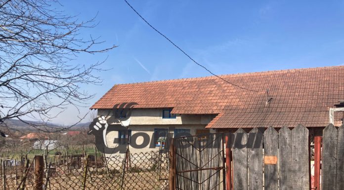 ,,Vampirul” din Turburea! Și-a mutilat soția și a jucat-o în picioare după o partidă de amor!