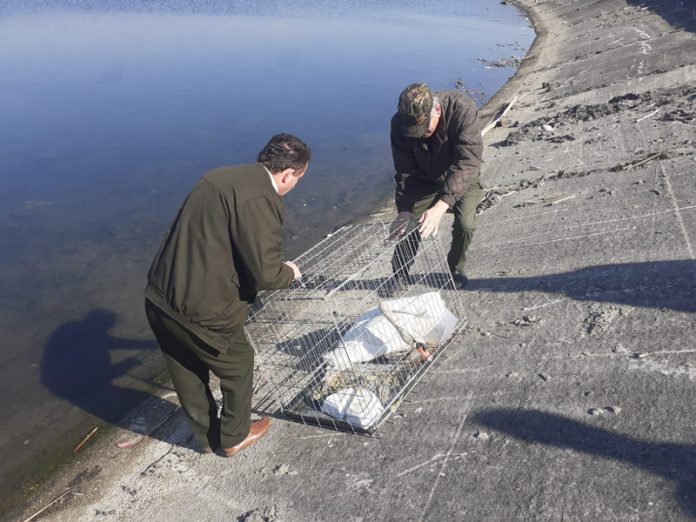 PHOTO-2022-03-14-12-48-55-(2)