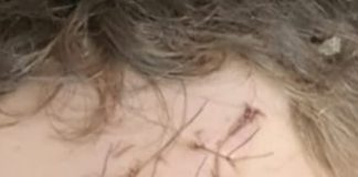 Mușamalizare în scandalul de ,,La Academie”?! Fiul lui Roșca, eliminat din anchetă deși el l-ar fi desfigurat pe Petcu