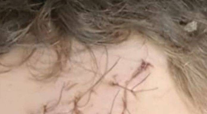 Mușamalizare în scandalul de ,,La Academie”?! Fiul lui Roșca, eliminat din anchetă deși el l-ar fi desfigurat pe Petcu