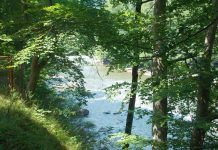 ,,Oltenia eterna Terra Nova’’ – În umbra lui Iovan Iorgovan – (I)