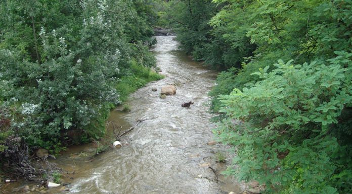 ,,Oltenia eterna Terra Nova’’ – În umbra lui Iovan Iorgovan – (3)