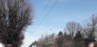 Inspector de la DSVSA Gorj, băut la volan! A accidentat mortal o femeie iar pe soț i l-a băgat în spital