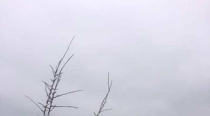 Gorjean amendat cu 10.000 lei