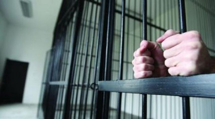 Trei ani de pușcărie pentru furt de lemne