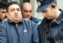 Bercea Mondial, eliberat