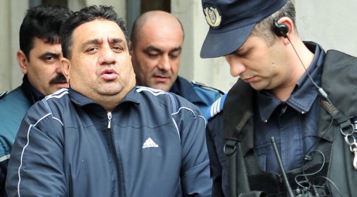 Bercea Mondial, eliberat