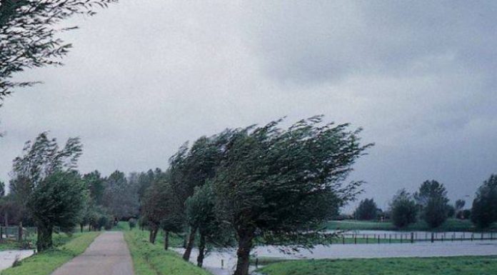 Gorj, cod galben de vânt