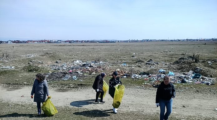 Acțiune de ecologizare pe malul râului Șușița