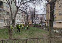 A doua campanie de tuns și cosit în cartierele din Târgu-Jiu